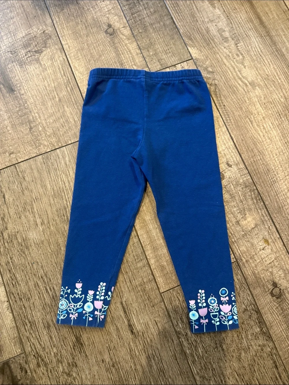 🏅 10/$10 Carter's floral pink top with blue leggings
